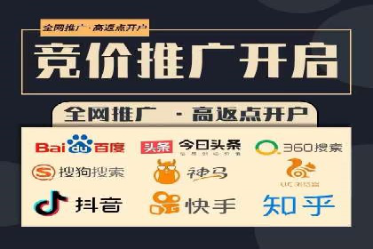 搜索引擎优化（SEO）在百度上的应用案例研究